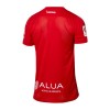 Officiële Voetbalshirt RCD Mallorca Special 2023-24 - Heren